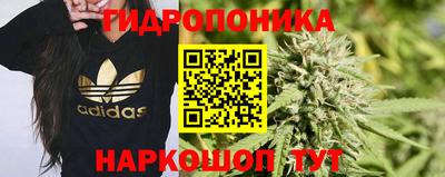 амф Канаш