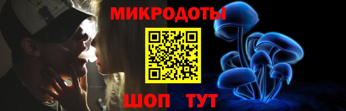 Мичуринск  Псилоцибиновые грибы Psilocybine cubensis  Вход с VPN 